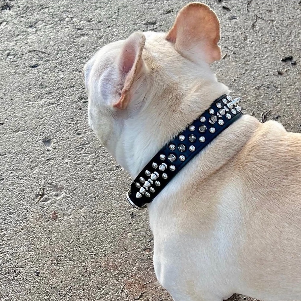 Studded Black Leather Dog Collar ‘Rockstarr’ Large